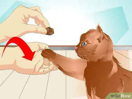 Image titled Teach a Cat to "High Five" Step 27